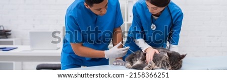 African american veterinarian holding syringe near maine coon and colleague in clinic, banner