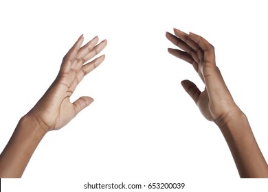 African American Woman Hands Holding Gesture; Isolated On White Background