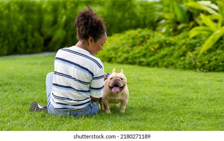 African American Woman Is Playing With Her French Bulldog Puppy While Walking In The Dog Park At Grass Lawn After Having Morning Exercise During Summer