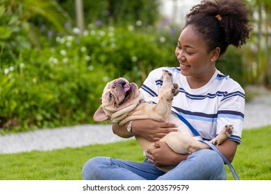 African American Woman Is Playing With Her French Bulldog Puppy While Walking In The Dog Park At Grass Lawn After Having Morning Exercise During Summer