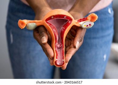 African American Woman Pregnancy And Uterine Tube