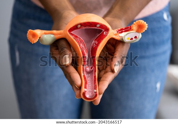African\
American Woman Pregnancy And Uterine\
Tube