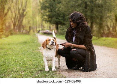 African American Woman Walking Dog