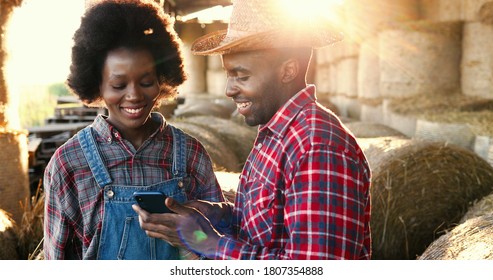 African American young happy man farmer showing something to woman on smartphone. Couple of farmers at hay stocks talking using on mobile phone. Countryside concept. Tapping and scrolling on cellphone - Powered by Shutterstock