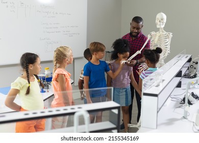 African American Young Male Teacher Showing Skeleton To Multiracial Elementary Students In Lab. Unaltered, Education, Childhood, Learning, Science, Stem, Teaching And School Concept.