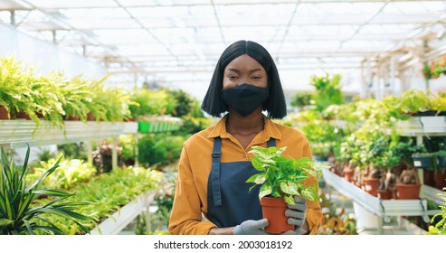 African AMerican Young Pretty Cheerful Woman In Black Mask Looking At Camera With Smile On Face Holding Flower Pot In Hands Standing In Garden Center Alone. Working During Covid Pandemic. Floral Shop