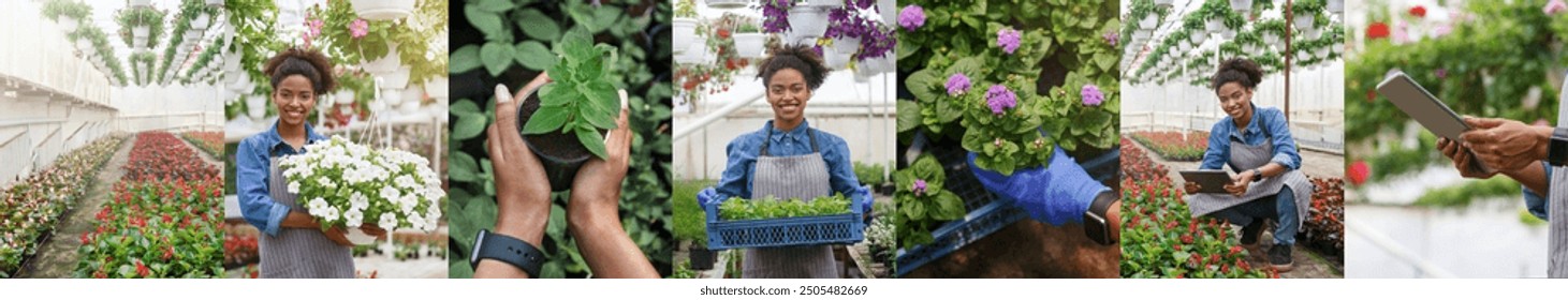 African American young woman in a blue shirt and apron is working in a greenhouse. She is checking inventory on a tablet, holding a tray of seedlings, and planting flowers. - Powered by Shutterstock