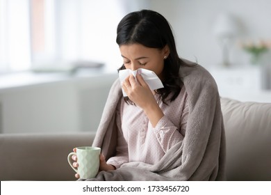 African biracial unhealthy woman covered with warm plaid sitting on couch feels physical affliction holding mug drinking cold remedy, blow runny nose use paper tissue, seasonal flu and grippe concept - Shutterstock ID 1733456720