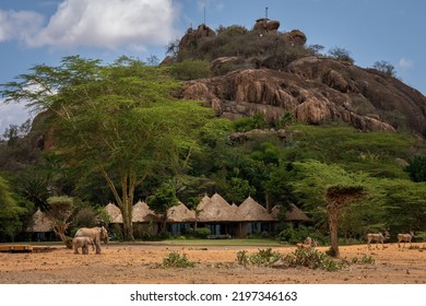 African Bush Elephants Stand By Safari Lodge