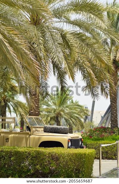 African car under the\
palms