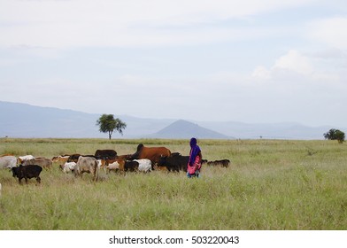 African Cattle Herder - Tanzania