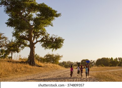 African Children Going Back To The Village. Senegal, Africa