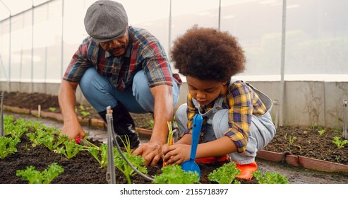 African Dad And Son Planting Garden Together In The Spring In Nursery. Family Planting Tree And Flowers In A Nursery At Backyard. Little Boy And His Father Gardening In Spring