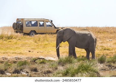 African elephant grazing near safari vehicle in Tanzania's wilderness