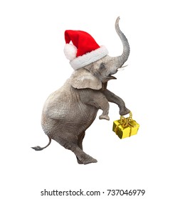 African elephant with santa's cap delivering christmas gifts. 