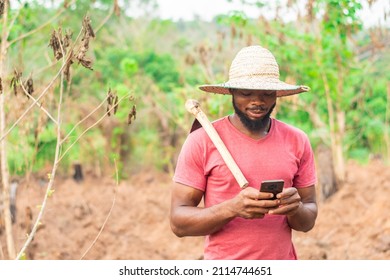 African Farmer Checking His Phone