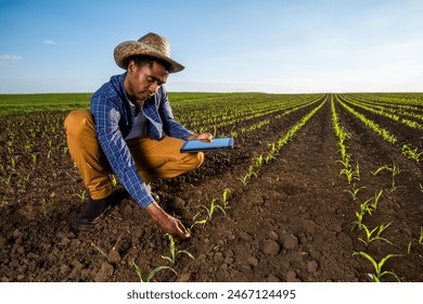 African farmer is examining corn crops in the field. - Powered by Shutterstock