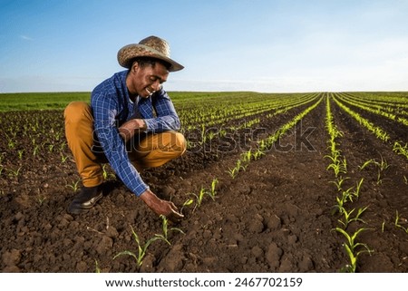 Similar – Image, Stock Photo Crop man with black caviar in jar