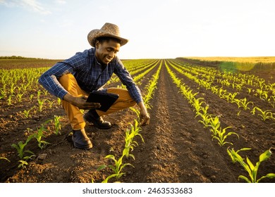 African farmer is examining corn field. He is satisfied with progress of plants. - Powered by Shutterstock