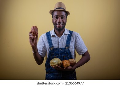 An African Farmer Holds Cocoa Beans In His Hand, He Is Happy For The Good Harvest