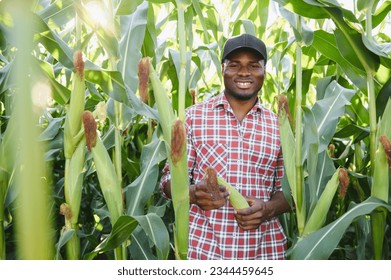 African farmer man holding a fresh corn at organic farm with smile and happy.Agriculture or cultivation concept - Powered by Shutterstock