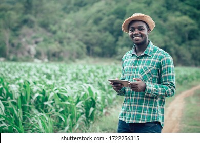 African farmer man holding tablet at organic farm with smile and happy.Agriculture or cultivation concept