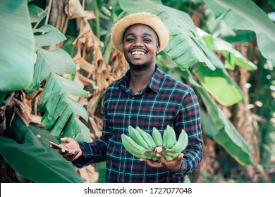 African farmer man using smartphone and holding banana at organic farm with smile and happy.Agriculture or cultivation concept - Powered by Shutterstock