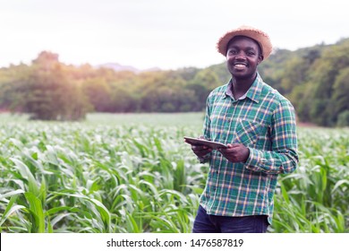African Farmer stand in the green farm with holding tablet