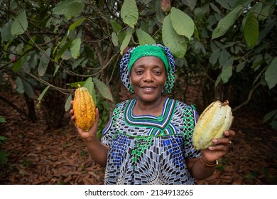 An African Female Farmer Holds In Her Hands Cocoa Beans From Her Plantation