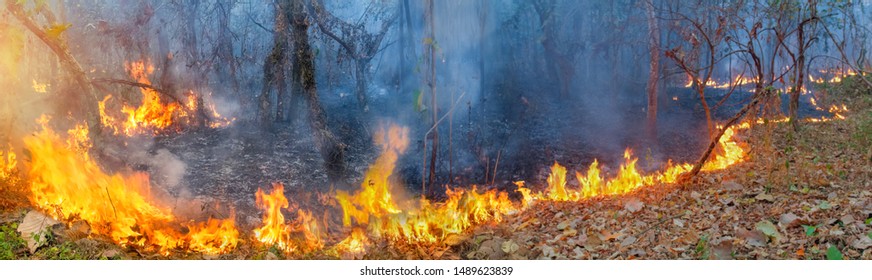 African Forest Fires In The Congo Basin ,Central Africa