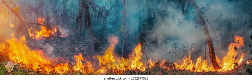 African Forest Fires In The Congo Basin ,Central Africa