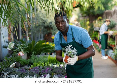 African gardener works in the greenhouse of a flower shop, inspecting potted plants - Powered by Shutterstock