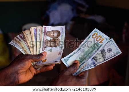 African hands holding multiple spread nigerian currency, money or cash beside two notes of american hundred dollar