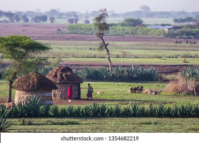 African Hut In Tanzania