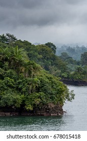 African Jungle Coastline With Cliffs