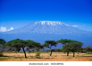 African landscape with Kilimanjaro background