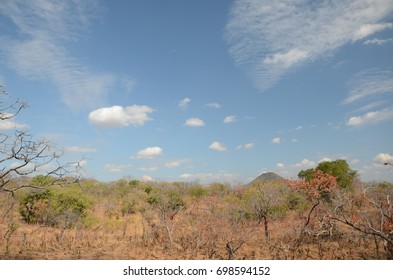 African Landscape Mozambique Stock Photo 698594152 | Shutterstock