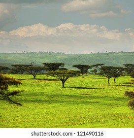 7,679 Kenya farm Images, Stock Photos & Vectors | Shutterstock