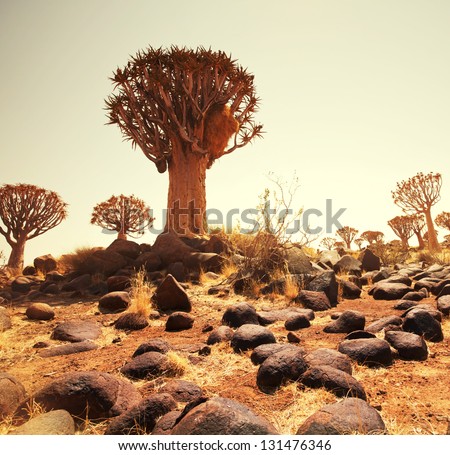 african landscapes
