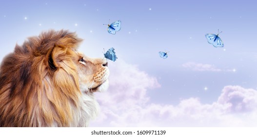 African lion with butterfly sitting on nose, morning cloudy sky banner. Landscape with magic flying butterflies in clouds, king of animals. Proud dreaming fantasy fairy tale leo looking on stars. - Shutterstock ID 1609971139