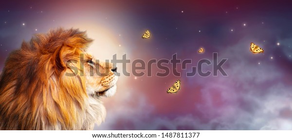 アフリカのライオンと夜のサバンナ 鳥が飛ぶ月光の風景 動物の王様 星を見つめるサバンナの夢想の獅子 壮大なドラマチックな星空のバナー の写真素材 今すぐ編集