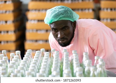 African male factory worker looking at green juice bottle or basil seed drink for checking quality in beverage factory - Powered by Shutterstock