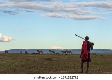 African Masai Tribe In Local Traditional Dress In Open Landscape Of Masai Mara Wildlife Savannah In Kenya 