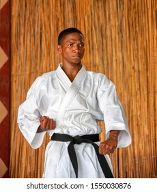 African Men Performing Kata At A Dojo On A Blue Floor