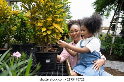 African Mother and daughter choosing plant at garden center shop nursery with shopping cart.Green and Growth tree.Global warming concept.Mom children choose plants in a flower shop. - Powered by Shutterstock