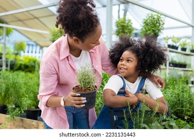 African mother and daughter is choosing vegetable and herb plant from the local garden center nursery with shopping cart full of summer plant for weekend gardening and outdoor - Powered by Shutterstock