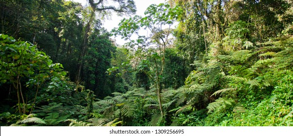 Congo Images Stock Photos Vectors Shutterstock