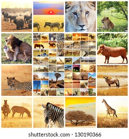 6,178 Collage african animals Images, Stock Photos & Vectors | Shutterstock