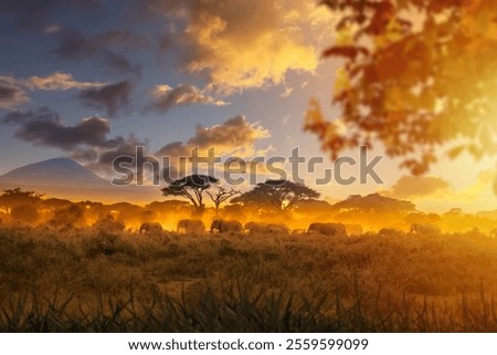 Similar – Image, Stock Photo Savanna Herds on the Move