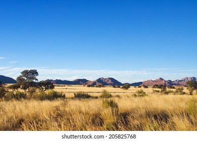 African Savanna Landscape, Namibia, South Africa 